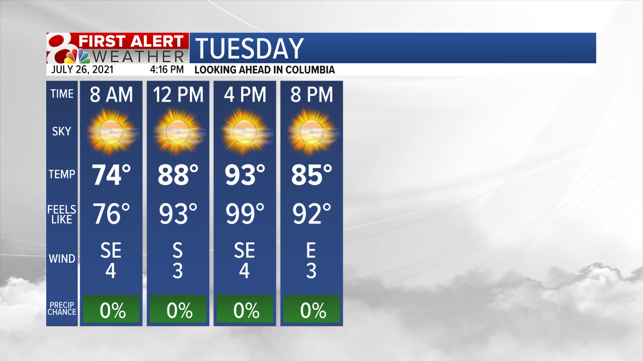 Hourly Details Forecast Brief Tomorrow.png